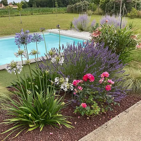 Les Agapanthes D Hotes Bed & Breakfast