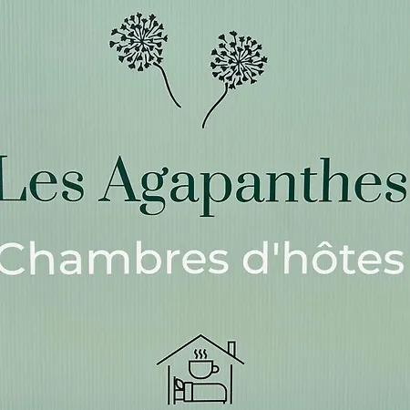 Les Agapanthes D Hotes * Lamonzie-Saint-Martin